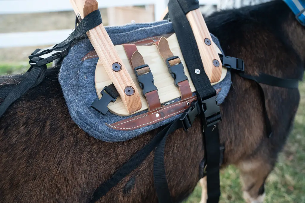 Classic Pack Goat Saddle - Packgoats.com Classic Pack Goat Saddle