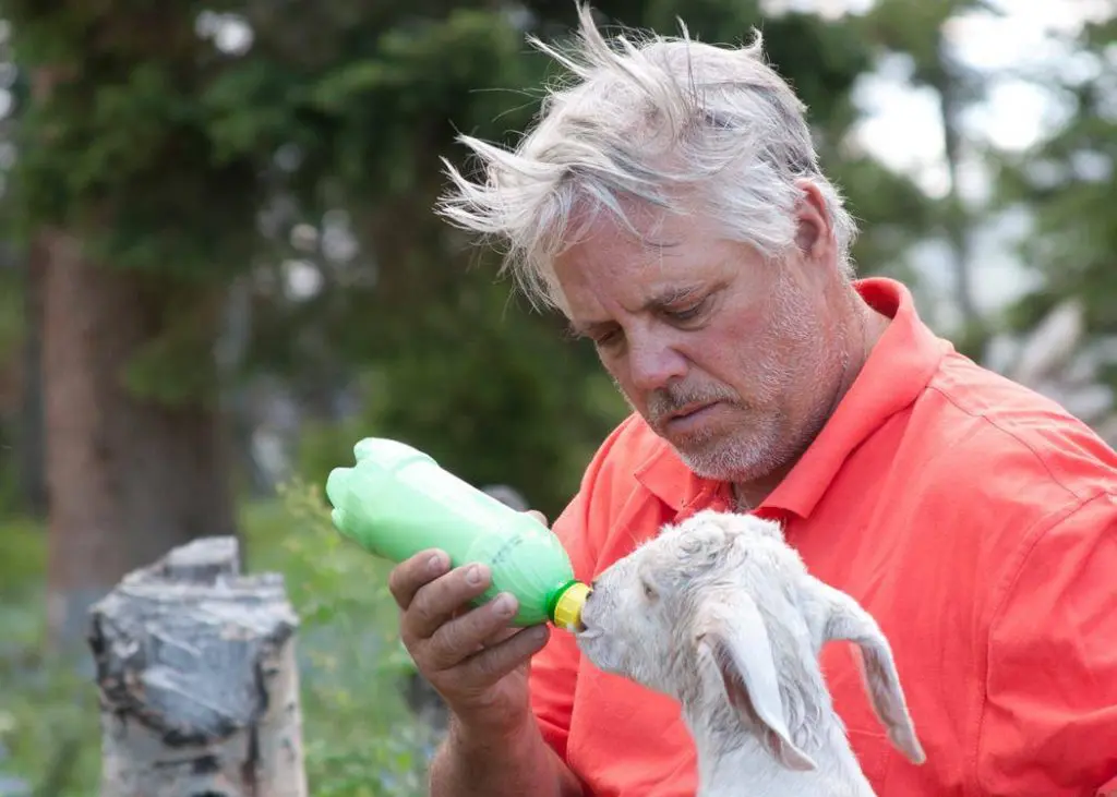 Feed Baby Goat