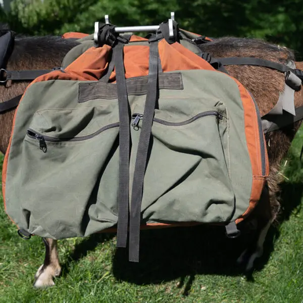 Large Pack Goat Panniers