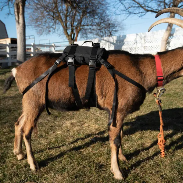 Pack Goat Soft Saddle