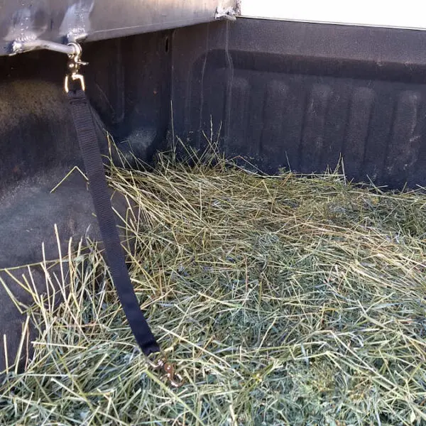 goat tether