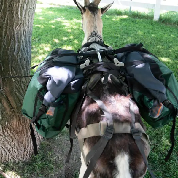 Hardcore Pannier Set