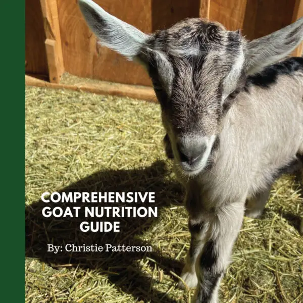 Comprehensive Goat Nutrition Guide