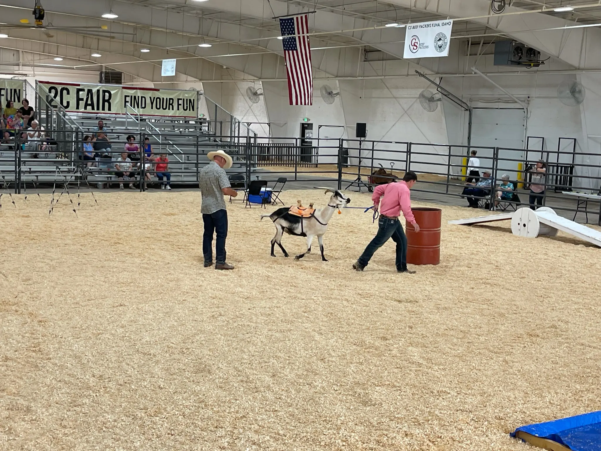 Pack Goat 4H