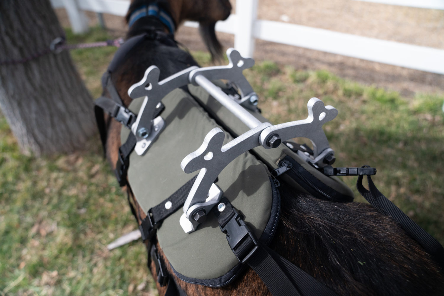 pack goat saddle - Packgoats.com pack goat saddle