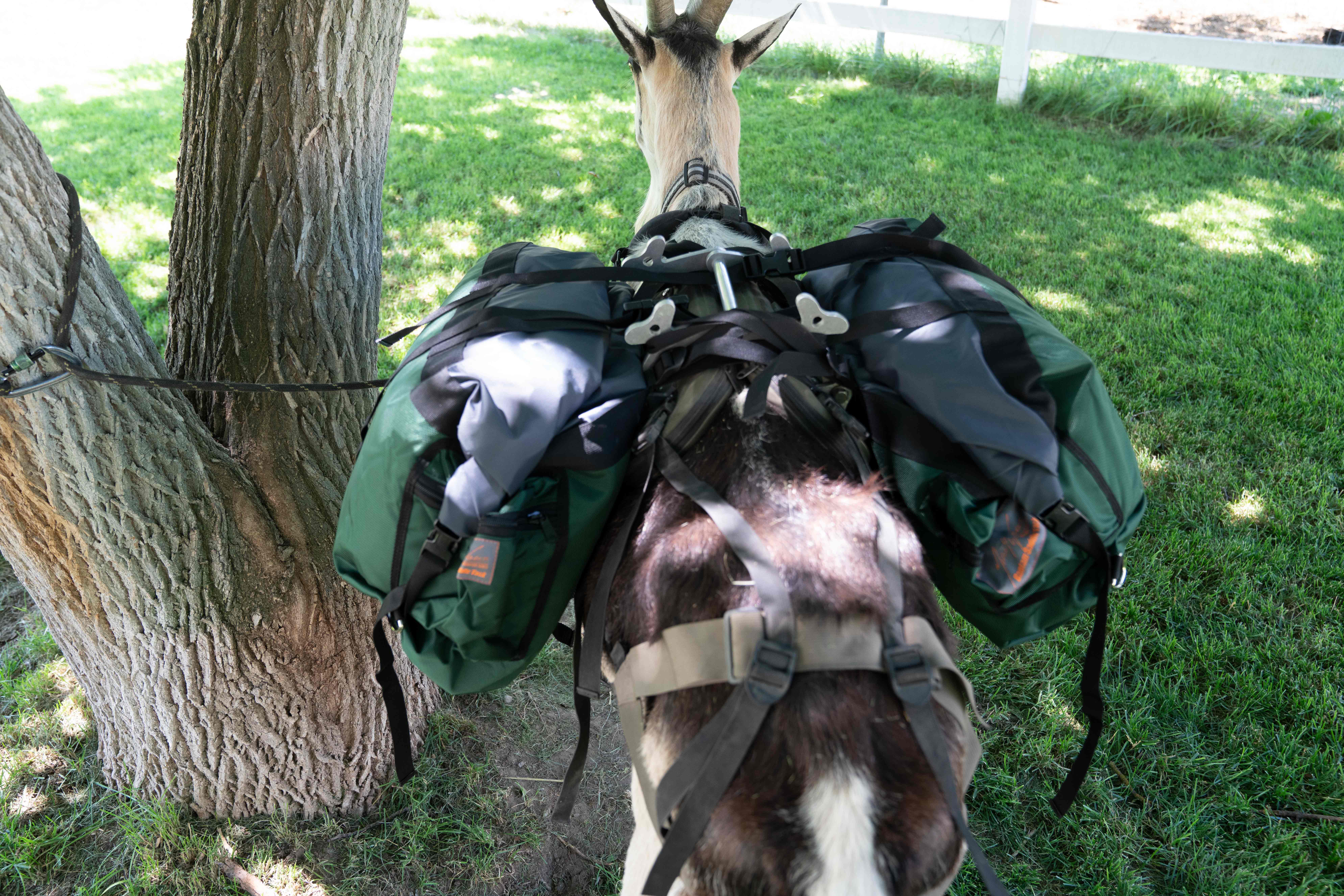 Hardcore Pannier Set - Packgoats.com Hardcore Pannier Set